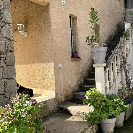 Olmareddu Guest house